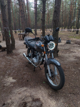 Спорт Минск D4 3.129, 2024 г.
