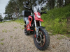 ROCKOT HOUND 250 2.0, 2026 г.
