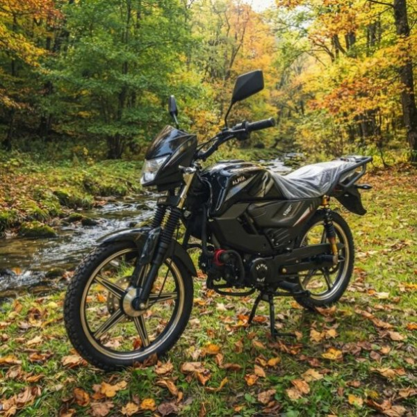 Motoland Scout 11, 2025 г.