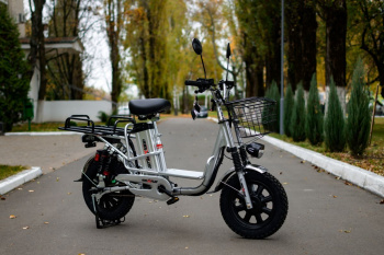  AVM E-ALFA Fat, 2026 г.