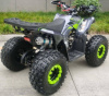 Racer RC RC125 Raptor, 2024 г.
