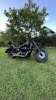 Honda VT Shadow 750 Phantom C2B, 2014 г.