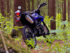 Racer ZWC2-300B, 2026 г.