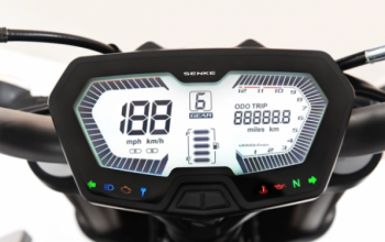 Regulmoto Alien Monster 300, 2026 г.