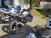 Suzuki SV, 2018 г.