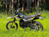 Racer Panther, 2026 г.