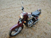 Jawa 300 CL Kyvacka, 2024 г.