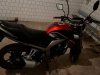 Racer Fighter, 2024 г.