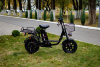  AVM E-ALFA Fat, 2026 г.