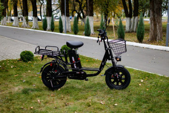  AVM E-ALFA Fat, 2026 г.