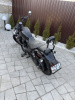 Harley-Davidson Nightster Rh975, 2023 г.