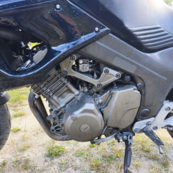 Yamaha TDM, 1993 г.