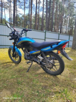 Racer Tiger, 2024 г.