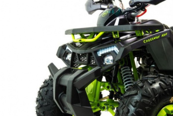 Motoland Wild X 125, 2026 г.