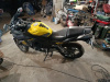 Racer Skyway 300, 2024 г.