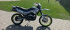 Racer Panther, 2020 г.