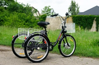  AVM E-ALFA TRIKE 24, 2026 г.
