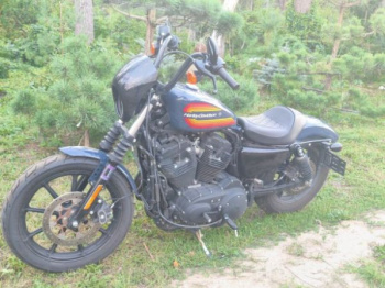 Harley-Davidson Sportster XL 1200 NS (IRON), 2020 г.