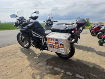 Triumph Tiger, 2010 г.