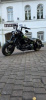 Harley-Davidson Softail Slim, 2013 г.