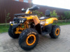 Motoland Wild Track, 2026 г.