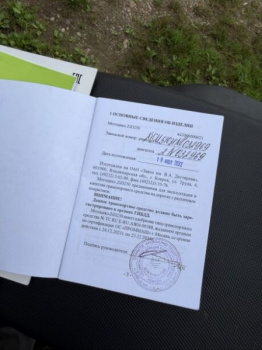 ЗиД 250 Лис, 2022 г.