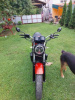 Honda NT Bross, 1992 г.