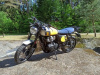 Royal Enfield Bear 650, 2025 г.