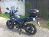 ROCKOT HOUND 250 2.0, 2025 г.
