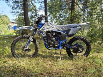 Progasi PALMA 300 NG, 2026 г.