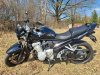 Suzuki Bandit, 2009 г.