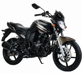 Motoland Bandit 300, 2024 г.