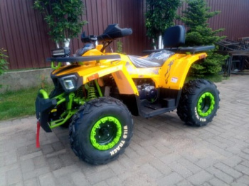 Motoland Wild Track X "WINCH" 200, 2026 г.
