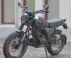 Racer RC RC300-GY8H Triumph 300, 2026 г.