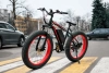 AVM INTRO FAT Lite, 2026 г.