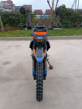 Regulmoto Athlete PRO 300 (4 valves), 2025 г.