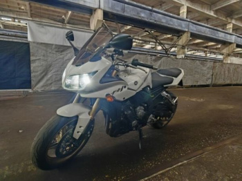 Yamaha FZ Fz1, 2007 г.