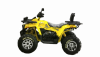 Motoland Wild Track X PRO, 2025 г.