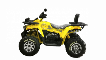 Motoland Wild Track X PRO, 2025 г.
