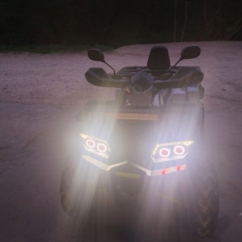 Motoland Wild Track, 2024 г.