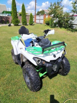 Motoland Shark Motolend schark 200, 2024 г.