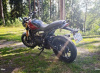 Triumph Speed 400, 2024 г.