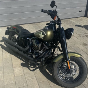 Harley-Davidson Softail FLSS, 2016 г.