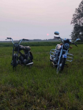 Sabur SB, 2014 г.