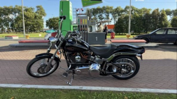 Harley-Davidson Softail Custom, 2007 г.