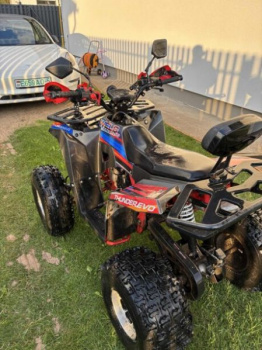 Wels EVO 125, 2025 г.