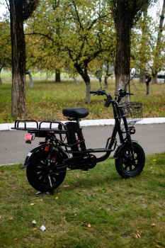  AVM E-ALFA Fat, 2026 г.