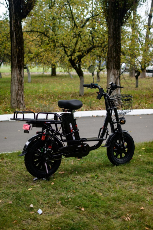  AVM E-ALFA Fat, 2026 г.