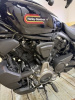 Harley-Davidson Nightster, 2023 г.