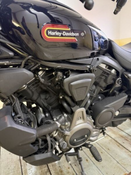 Harley-Davidson Nightster, 2023 г.